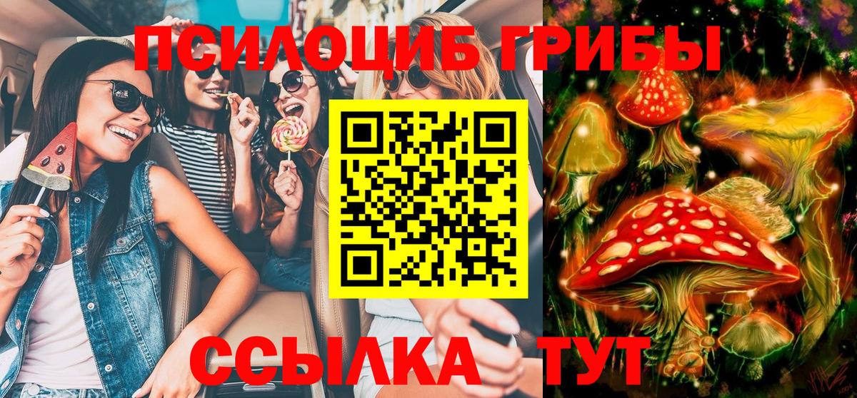 Псилоцибиновые грибы GOLDEN TEACHER Избербаш