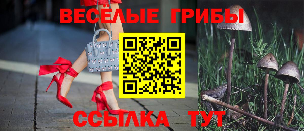 Галлюциногенные грибы MAGIC MUSHROOMS  Вход с VPN  Избербаш 